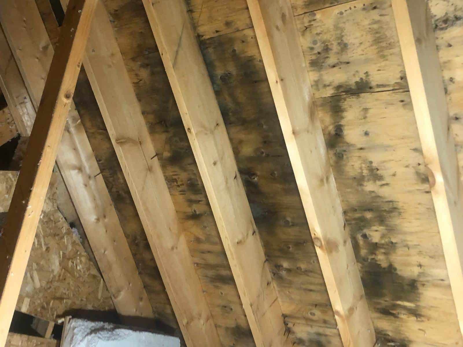 Attic Mold After a Home Inspection: What Northern Ohio Sellers Should Do