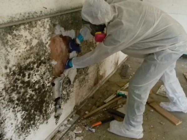 Mold Remediation service image for mold remediation Bedford Heights, mold remediation Northern Ohio, same day mold estimate