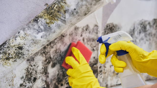 AirGuard team and mold remediation work in Northern Ohio