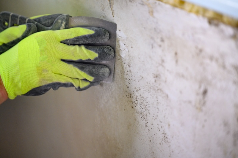 Mold Removal service image for mold removal Northern Ohio, mold remediation Bedford Heights, basement mold removal