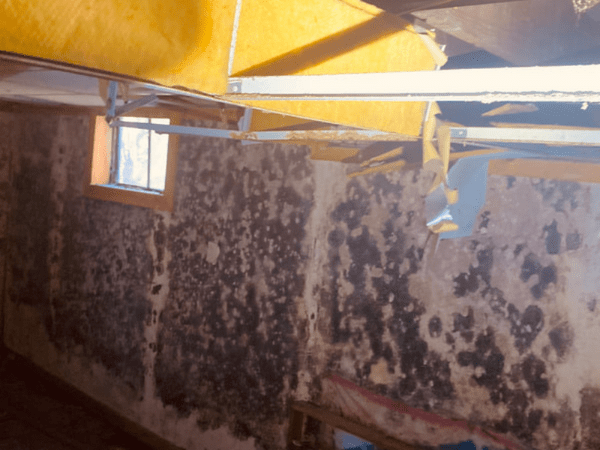 Mold Testing in Chesterland