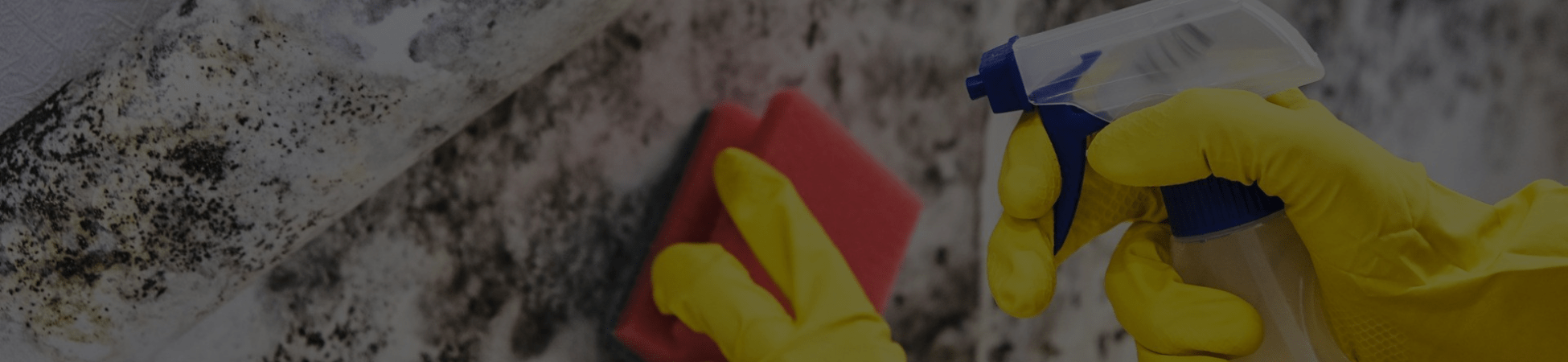 Mold Testing in Chesterland, Ohio banner